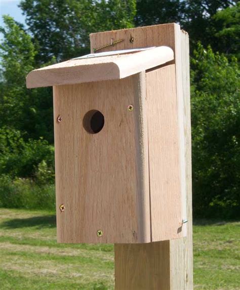 macaw nest boxes metal|chickadee nest box hole size.